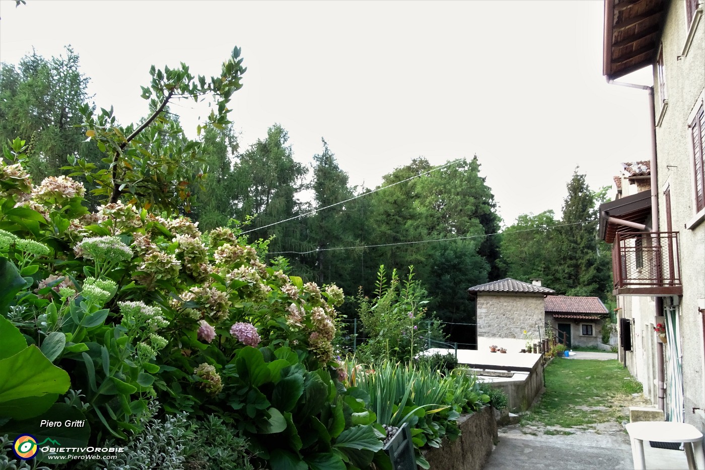 22 Sul sentiero, nel bosco, alcune casette.JPG
